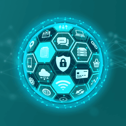 Payment Card Industry Data Security Standard